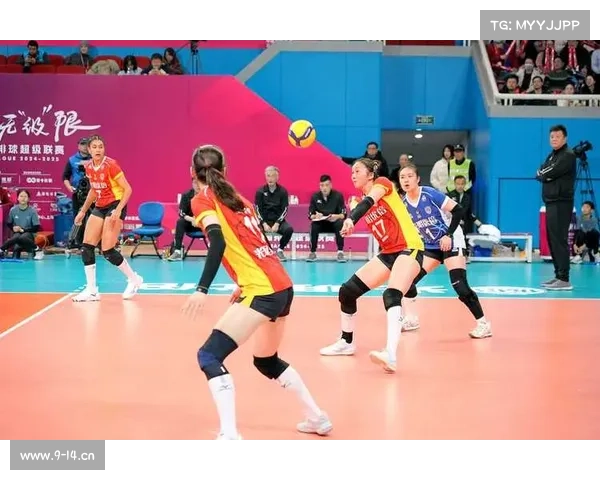 女排的赛况